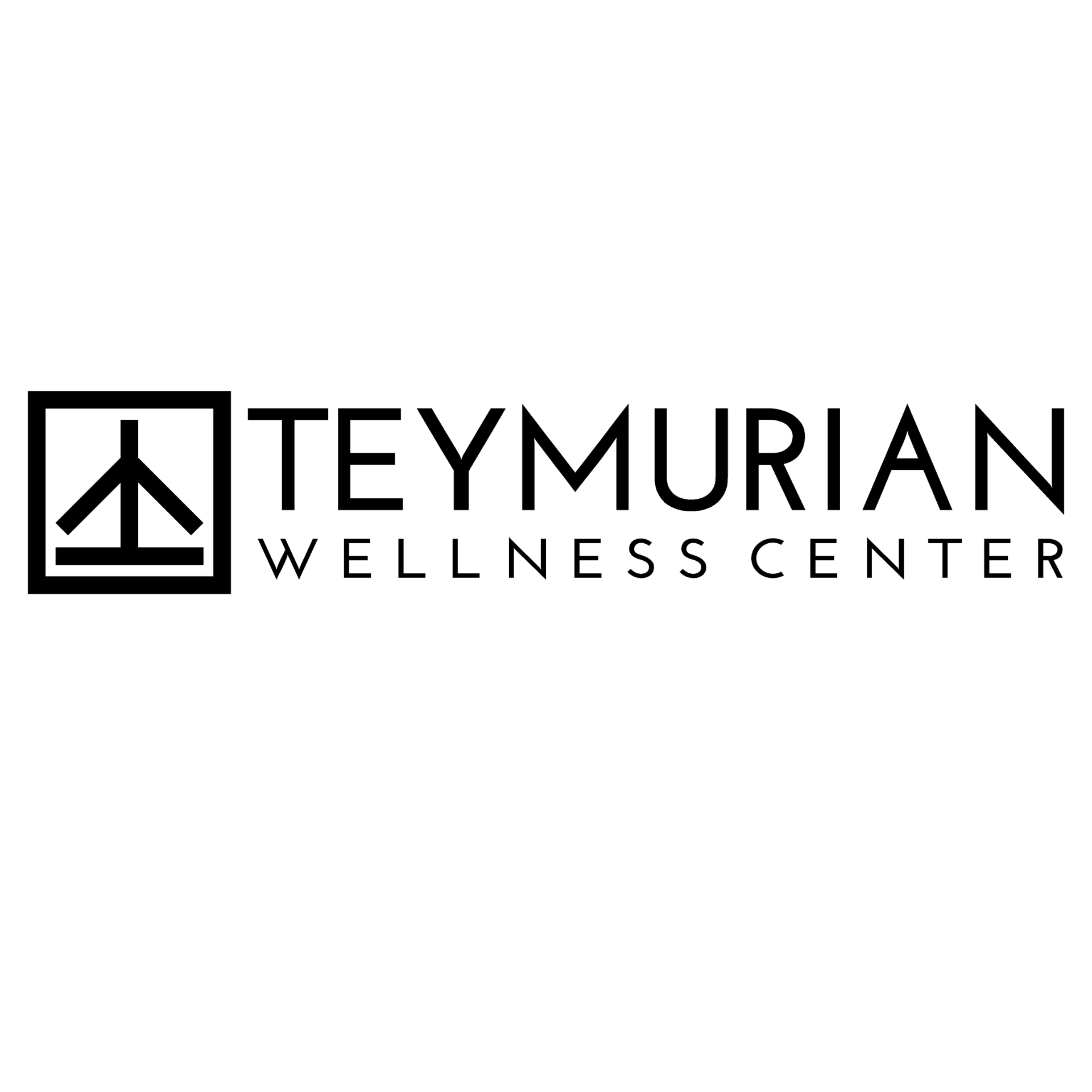 Teymurian spa & masaj logo