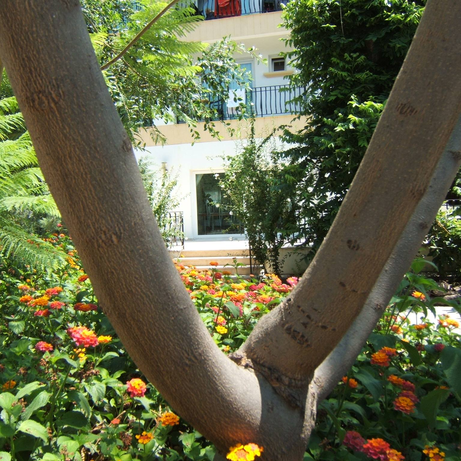 Zenya Complex Özel Öğrenci Yurdu logo