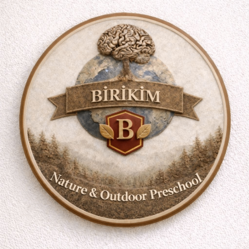 Birikim Anaokulu logo