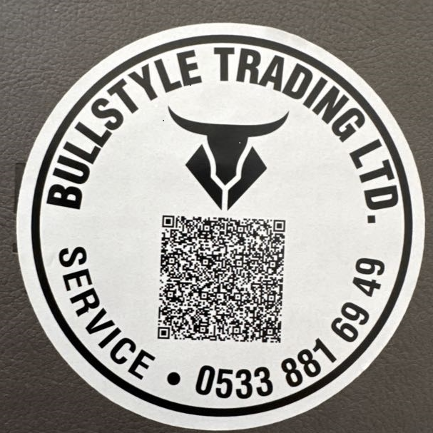 BULLSTYLE TRADING LTD logo