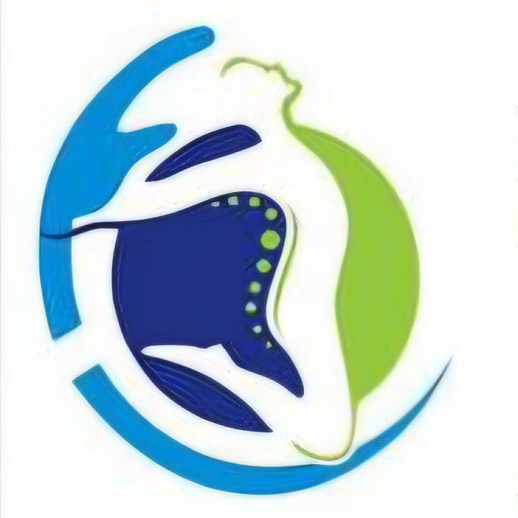 Physioworld Fizik Tedavi Rehabilitasyon & Sağlıklı Yaşam Merkezi logo