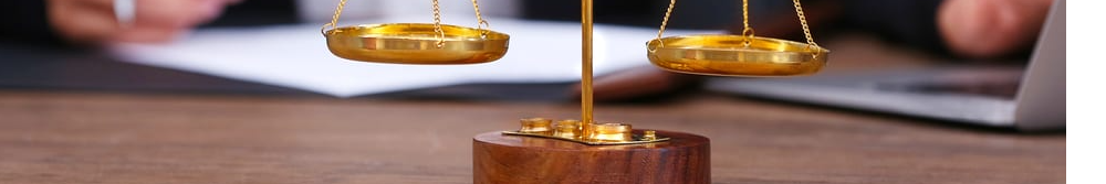 DOĞU ABİDİN HUKUK BÜROSU kapak logo