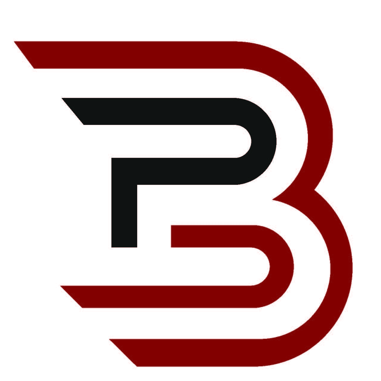Baypa Ltd. logo