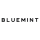 BLUEMINT Kıbrıs logo