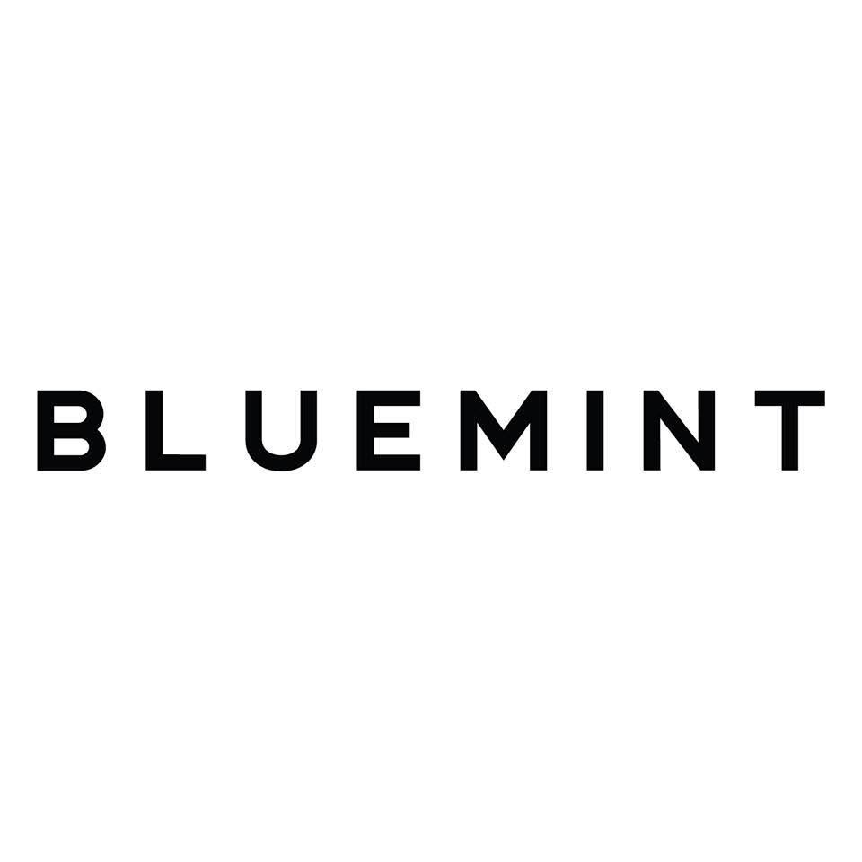 BLUEMINT Kıbrıs logo