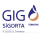 GIG Sigorta logo